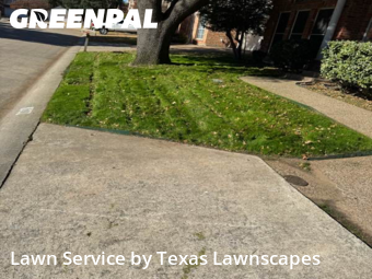 Local Lawn And Landscape Maintenance Services Near Me In Mc Kinney,75072,Landscape Design by Texas Lawnscapes, work completed in Jan , 2026