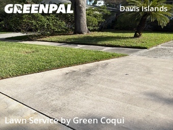 Lawn Care Service nearby Tampa, FL, 