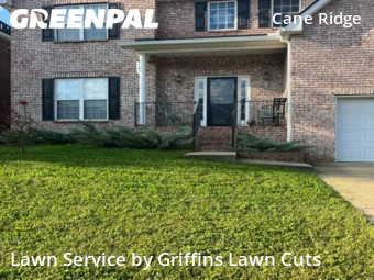 Work completed by the-yard-cutting-businesses-in-Antioch-CA