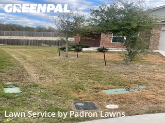 Lawn Maintenance nearby Austin, TX, 