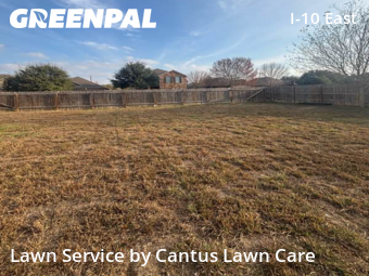 Lawn Carein Converse,78109,Lawn Cut by Cantus Lawn Care, work completed in Feb , 2026