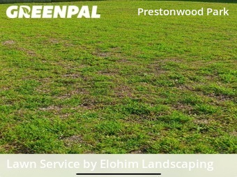 Lawn Mow nearby Houston, TX, 