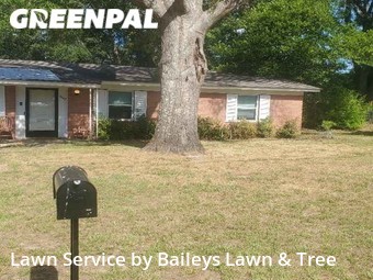 Lawn Mowing Service nearby Tyler, TX, 