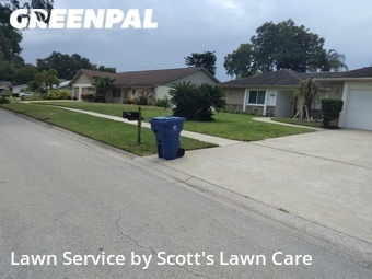 Yard Mowing nearby Palm Harbor, FL, 