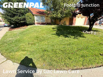 Yard Cutting nearby Roseville, CA, 