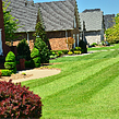 local-lawn-care-services-in-Berwyn-IL
