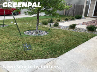 Yard Cutting nearby Round Rock, TX, 