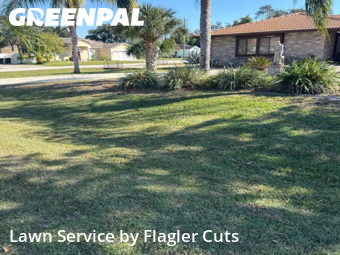 Yard Cutting nearby Palm Coast, FL, 