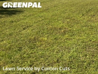 Lawn Maintenance nearby Bradenton, FL, 