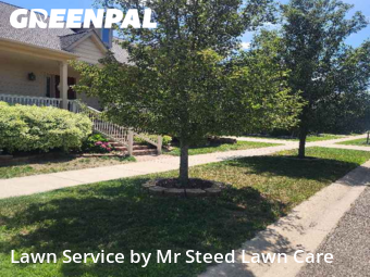 Grass Cut nearby Shelby Township, MI, 