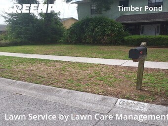 Lawn Carein Brandon,33510,Lawn Service by Lawn Care Management, work completed in Jun , 2026