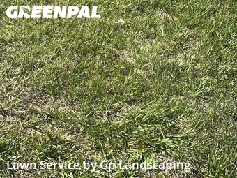 Lawn mowed in Lowell, 28098