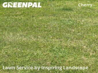 Lawn Mowing Servicein Denver,80239,Lawn Care by Inspiring Landscape, work completed in Jun , 2026