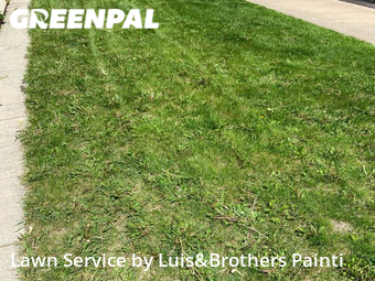 Lawn Care nearby Chicago, IL, 
