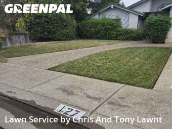 professional-lawn-care-service-in-Stockton-CA