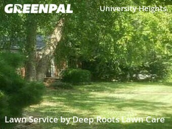 Grass Cut nearby Springfield, MO, 