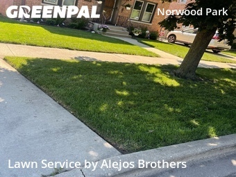 Landscape Design In Chicago,60631,Landscaping Installation by Alejos Brothers, work completed in Jul , 2026