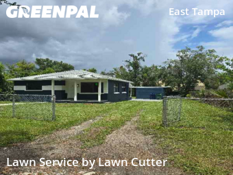 Lawn Maintenance nearby Tampa, FL, 