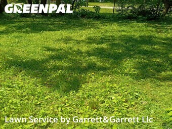 Grass Cut nearby Euclid, OH, 