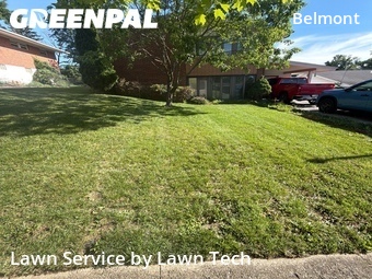 Yard Cutting nearby Dayton, OH, 