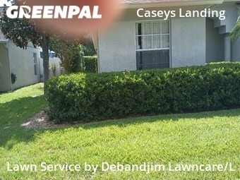 Yard Mowing nearby Tampa, FL, 