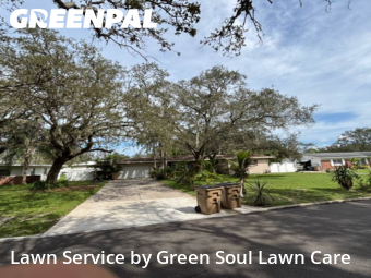 Lawn Care nearby Temple Terrace, FL, 