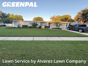 Yard Cuttingin Winter Park,32789,Lawn Cutting by Alvarez Lawn Company, work completed in Dec , 2025