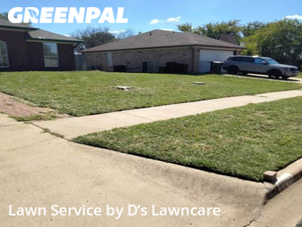 Lawn Cut nearby Killeen, TX, 