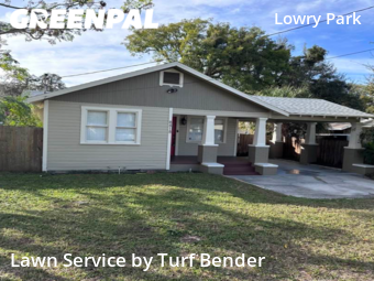 Grass Cut nearby Tampa, FL, 