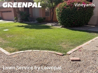 Lawn mowed in Chandler, 85286