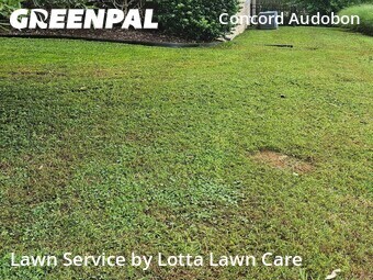 Lawn Care nearby Chattanooga, TN, 