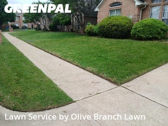 Grass Cuttingin Haltom City,76137,Grass Cut by Olive Branch Lawn, work completed in Jun , 2026