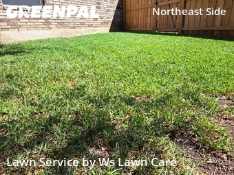 Yard Cutting nearby Converse, TX, 