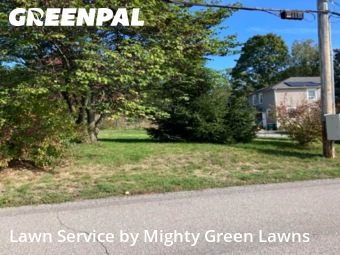 Lawn Upkeep in Glenshaw, 15116, Yard Grooming by Mighty Green Lawns, work completed in Oct , 2025