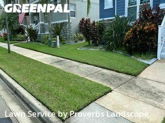 Grass Cut nearby Winter Garden, FL, 