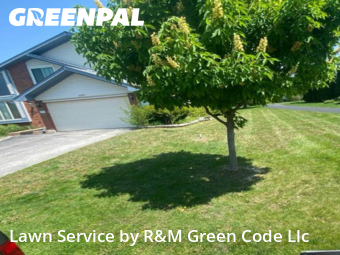 Lawn Cut nearby Lisle, IL, 