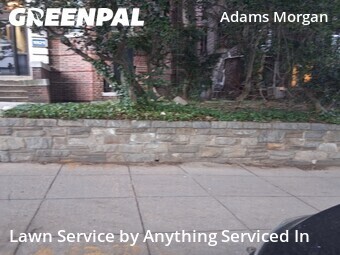 Lawn Care nearby Washington, MD, 