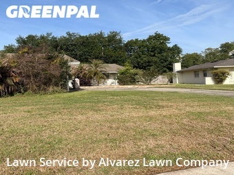 Lawn Mowing Service nearby Orlando, FL, 