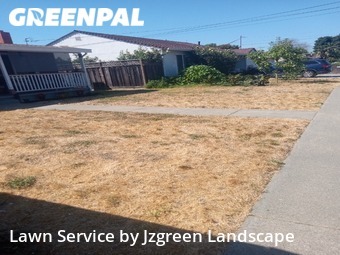 Grass Cutting nearby San Lorenzo, CA, 
