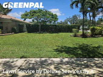 Turf Services in Parkland, 33076, Yard Mowing by Deluxe Services By A, work completed in Dec , 2025