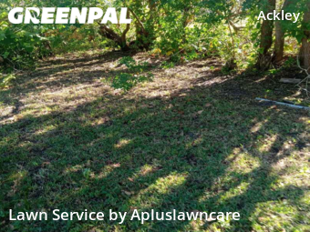 Lawn Mow nearby Cocoa, FL, 