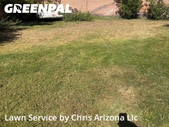 Landscaping Cleanup In Chandler,85249,Landscape Design by Chris Arizona Llc, work completed in Jun , 2026