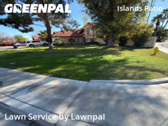 Modern Landscaping In Gilbert,85233,Landscaping Renovation by Lawnpal, work completed in Jan , 2026