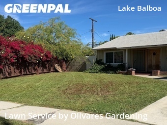 Lawn Care Service nearby Los Angeles, CA, 