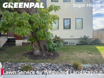 Lawn Mowing in Salt Lake City, 84106, Yard Upkeep by Wildwood Landscaping , work completed in Nov , 2025