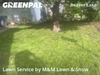 Lawn Care Service nearby Saint Paul, MN, 