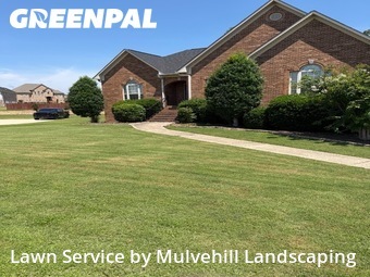 Lawn mowed in Gardendale, 35071