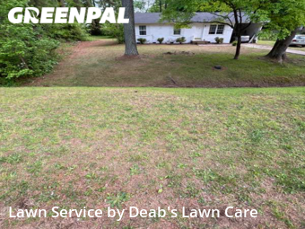 Lawn Care nearby Browns Summit, NC, 