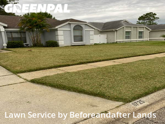 Lawn Mow nearby Orlando, FL, 
