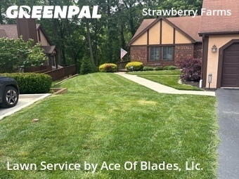 Lawn Care nearby Columbus, OH, 